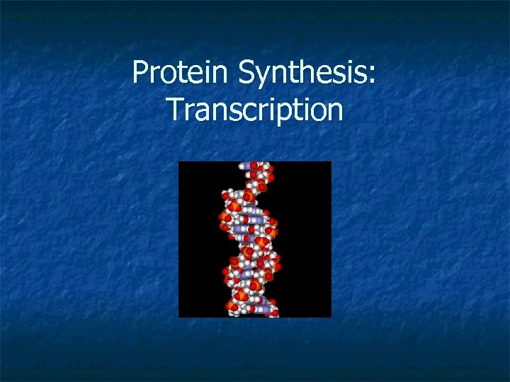 Protein Synthesis: Transcription 