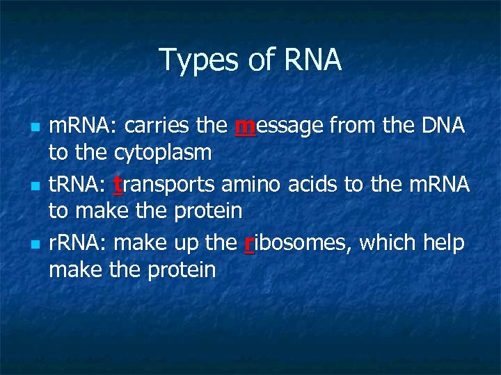 Types of RNA n n n m. RNA: carries the message from the DNA