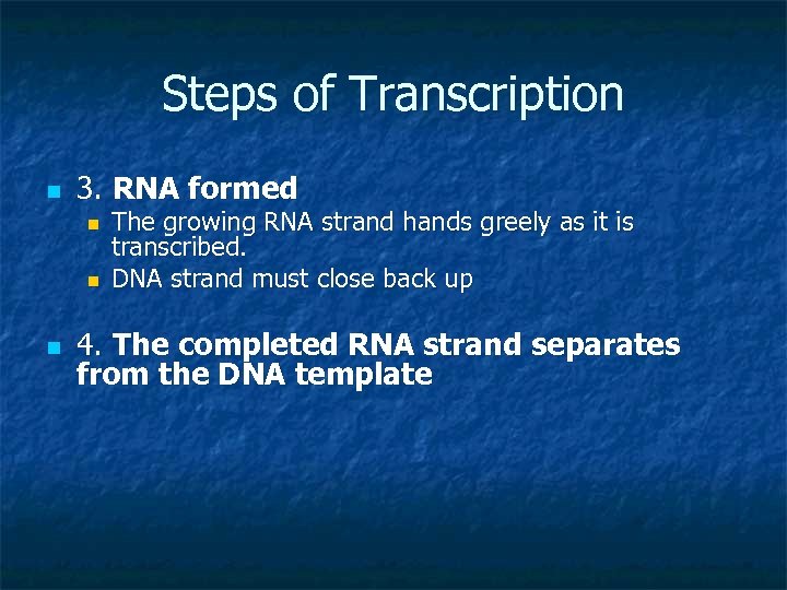 Steps of Transcription n 3. RNA formed n n n The growing RNA strand