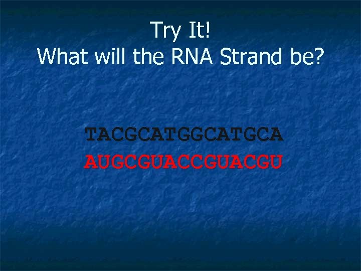 Try It! What will the RNA Strand be? TACGCATGCA AUGCGUACGU 
