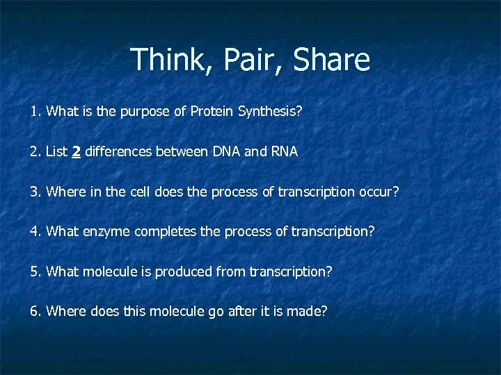 Think, Pair, Share 1. What is the purpose of Protein Synthesis? 2. List 2