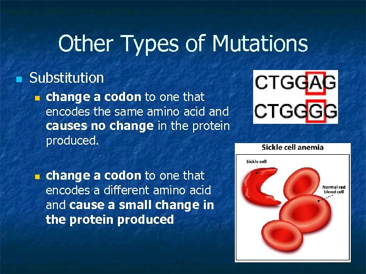Other Types of Mutations n Substitution n n change a codon to one that