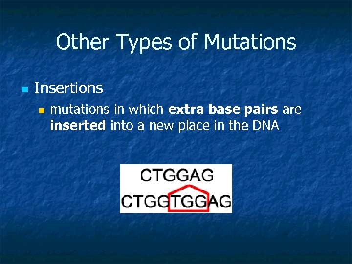 Other Types of Mutations n Insertions n mutations in which extra base pairs are