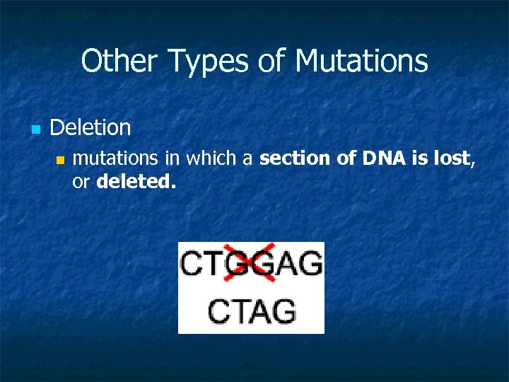 Other Types of Mutations n Deletion n mutations in which a section of DNA