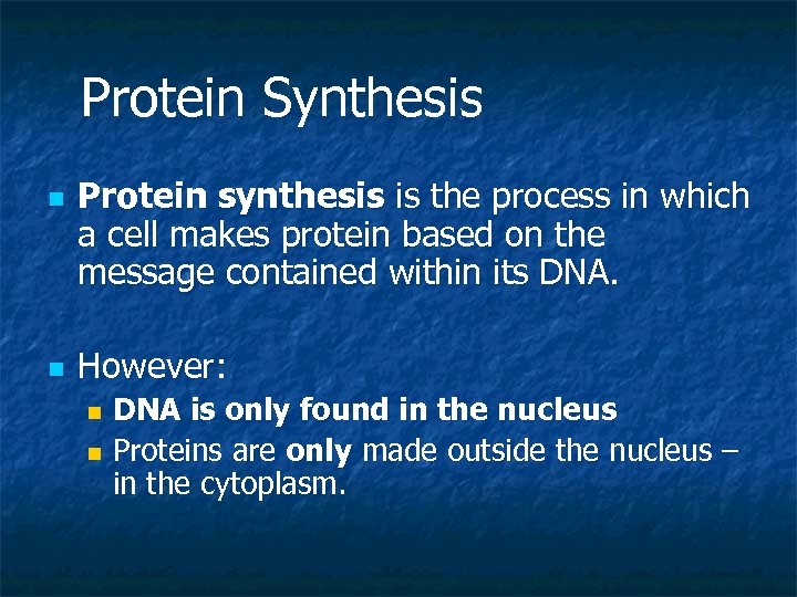Protein Synthesis n n Protein synthesis is the process in which a cell makes