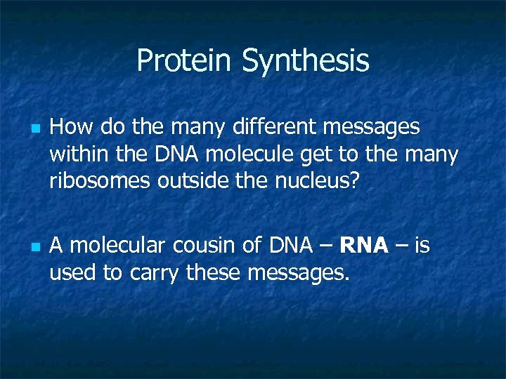 Protein Synthesis n n How do the many different messages within the DNA molecule