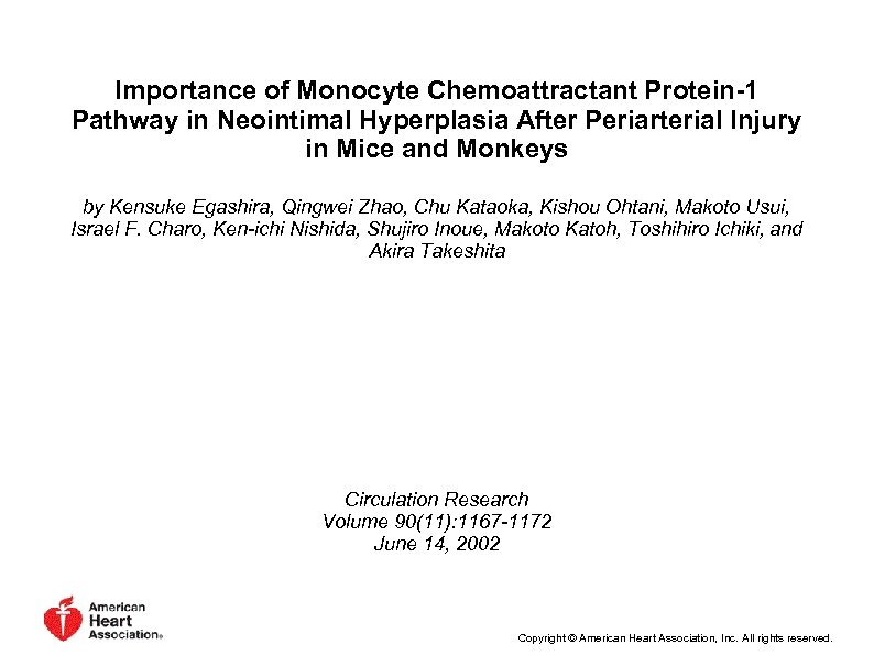 Importance of Monocyte Chemoattractant Protein-1 Pathway in Neointimal Hyperplasia After Periarterial Injury in Mice