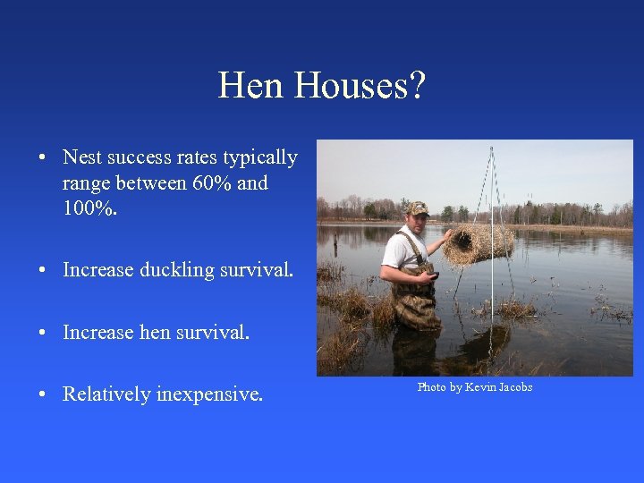 Hen Houses? • Nest success rates typically range between 60% and 100%. • Increase
