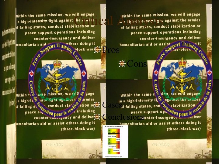 Critical Analysis Pros Cons Cases Conclusions 