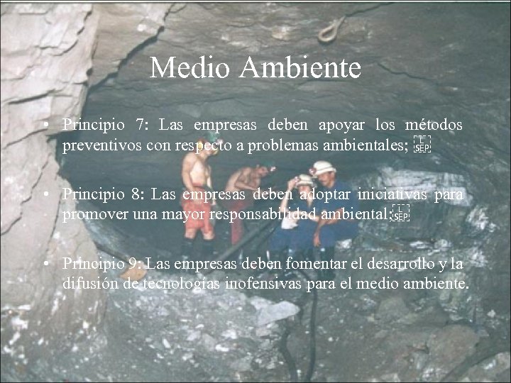 Medio Ambiente • Principio 7: Las empresas deben apoyar los métodos preventivos con respecto