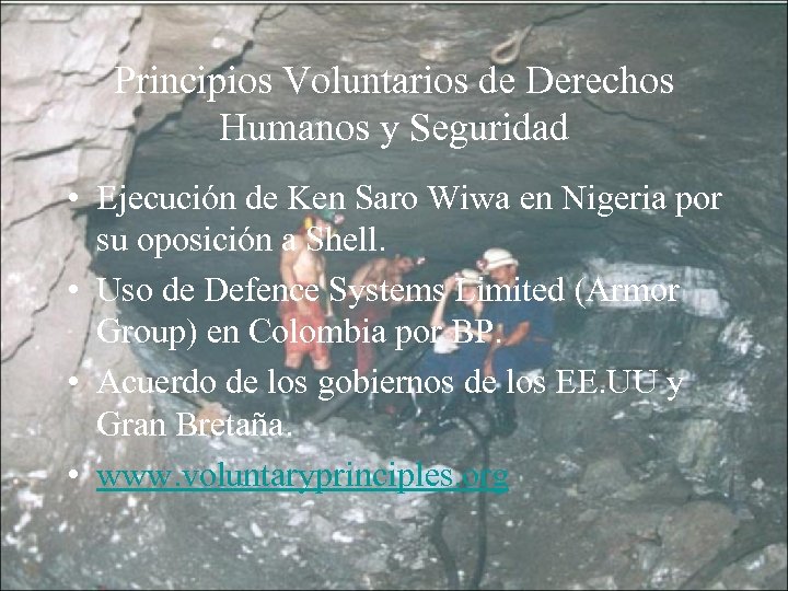 Principios Voluntarios de Derechos Humanos y Seguridad • Ejecución de Ken Saro Wiwa en