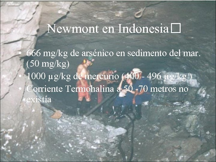Newmont en Indonesia • 666 mg/kg de arsénico en sedimento del mar. (50 mg/kg)