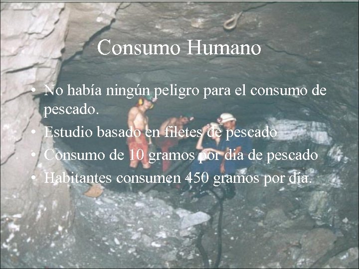 Consumo Humano • No había ningún peligro para el consumo de pescado. • Estudio