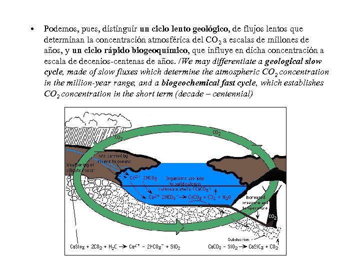  • Podemos, pues, distinguir un ciclo lento geológico, de flujos lentos que determinan
