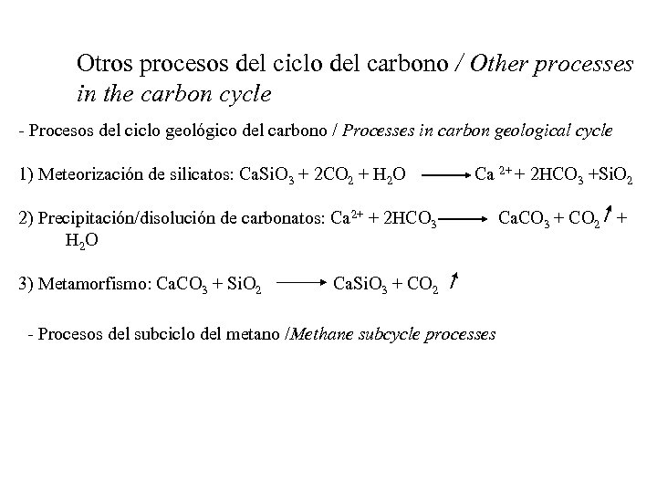 Otros procesos del ciclo del carbono / Other processes in the carbon cycle -
