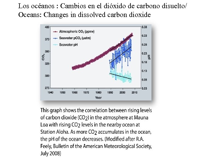 Los océanos : Cambios en el dióxido de carbono disuelto/ Oceans: Changes in dissolved