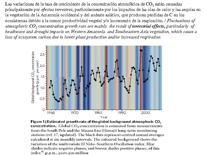 Las variaciones de la tasa de crecimiento de la concentración atmosférica de CO 2