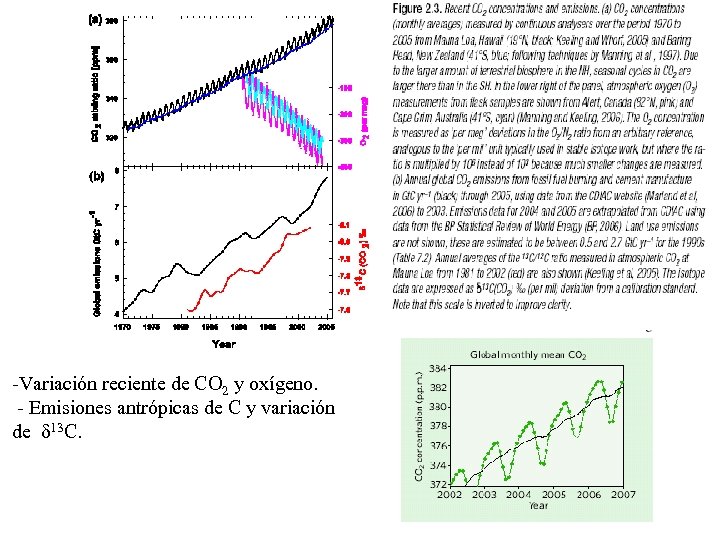 -Variación reciente de CO 2 y oxígeno. - Emisiones antrópicas de C y variación