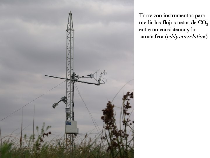 Torre con instrumentos para medir los flujos netos de CO 2 entre un ecosistema