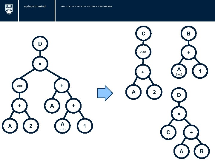  C B Abs + D × A + 1 (rot) + Abs A