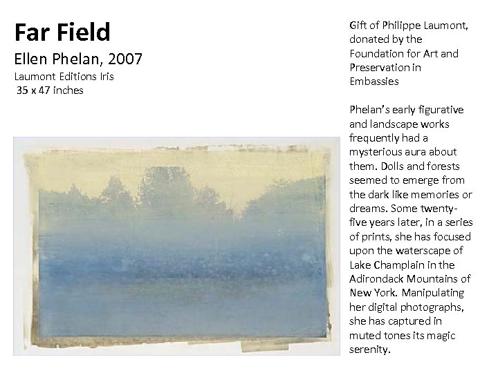 Far Field Ellen Phelan, 2007 Laumont Editions Iris 35 x 47 inches Gift of