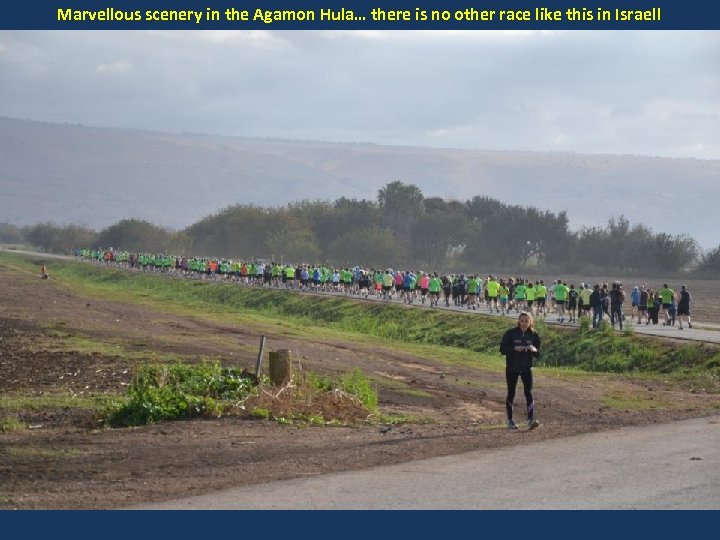Marvellous scenery in the Agamon Hula… there is no other race like this in