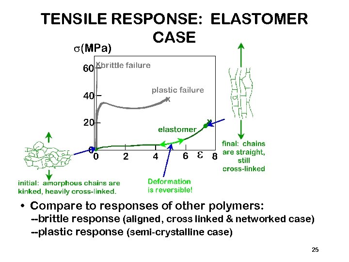 TENSILE RESPONSE: ELASTOMER CASE • Compare to responses of other polymers: --brittle response (aligned,