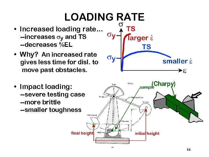 LOADING RATE • Increased loading rate. . . --increases sy and TS --decreases %EL