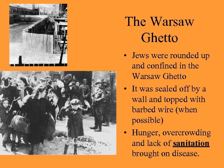 The Warsaw Ghetto • Jews were rounded up and confined in the Warsaw Ghetto