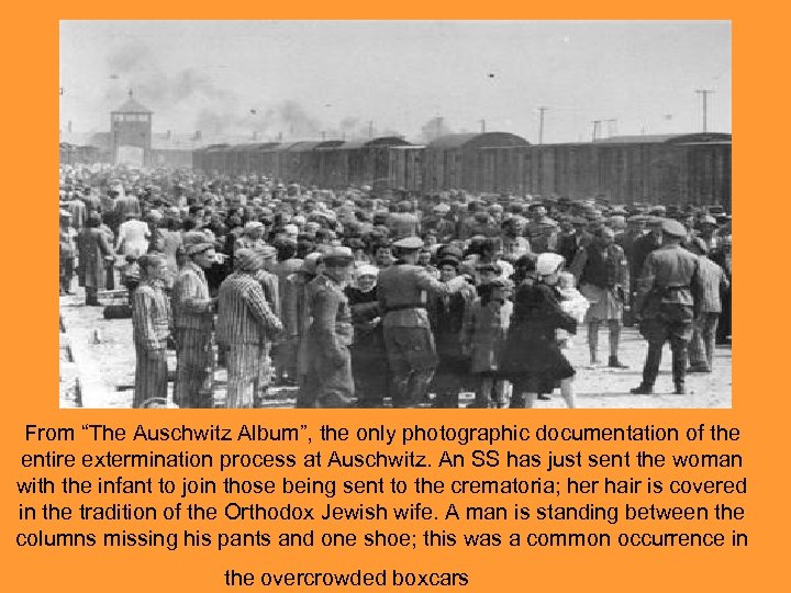 From “The Auschwitz Album”, the only photographic documentation of the entire extermination process at