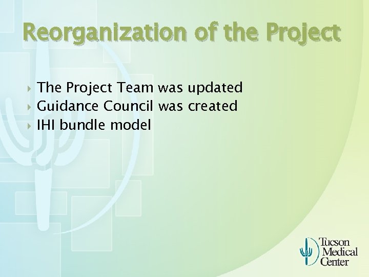 Reorganization of the Project The Project Team was updated Guidance Council was created IHI