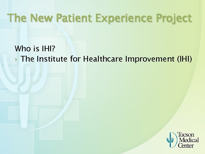 The New Patient Experience Project Who is IHI? The Institute for Healthcare Improvement (IHI)