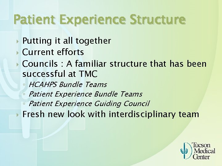 Patient Experience Structure Putting it all together Current efforts Councils : A familiar structure