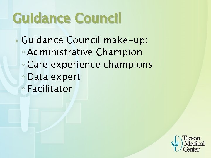 Guidance Council make-up: ◦ Administrative Champion ◦ Care experience champions ◦ Data expert ◦