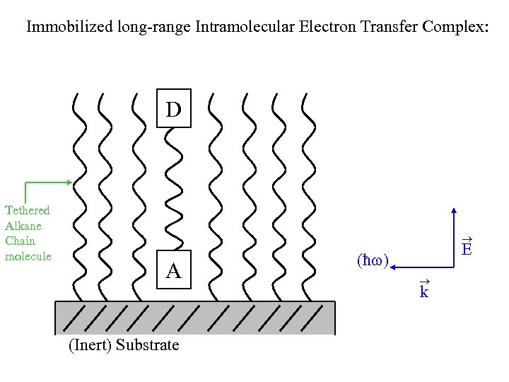 Immobilized long-range Intramolecular Electron Transfer Complex: D Tethered Alkane Chain molecule A (Inert) Substrate