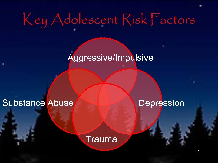 Key Adolescent Risk Factors Aggressive/Impulsive Substance Abuse Depression Trauma 19 