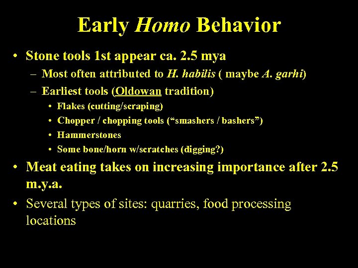 Early Homo Behavior • Stone tools 1 st appear ca. 2. 5 mya –