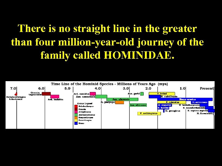 There is no straight line in the greater than four million-year-old journey of the