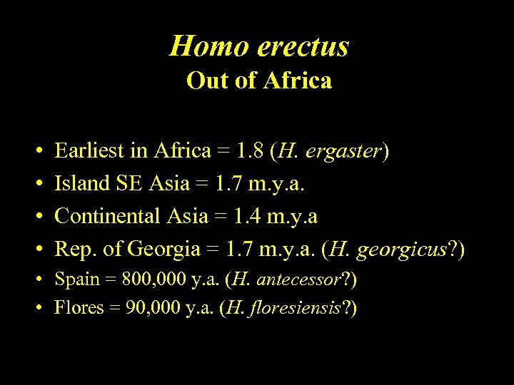 Homo erectus Out of Africa • • Earliest in Africa = 1. 8 (H.