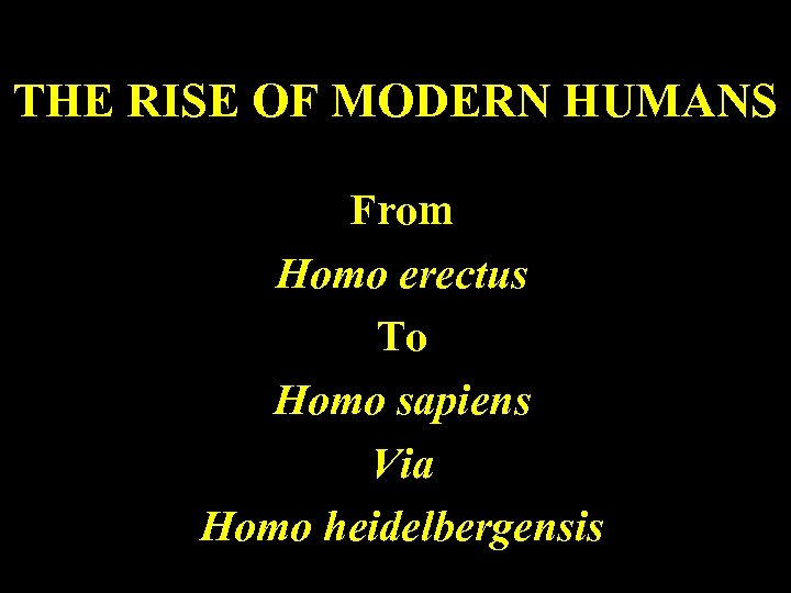 THE RISE OF MODERN HUMANS From Homo erectus To Homo sapiens Via Homo heidelbergensis