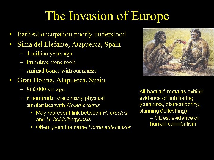 The Invasion of Europe • Earliest occupation poorly understood • Sima del Elefante, Atapuerca,