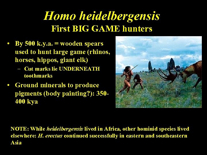 Homo heidelbergensis First BIG GAME hunters • By 500 k. y. a. = wooden