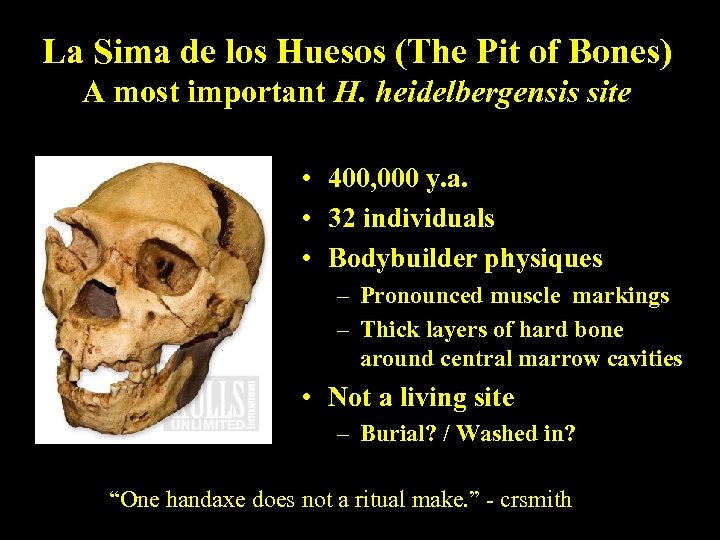 La Sima de los Huesos (The Pit of Bones) A most important H. heidelbergensis