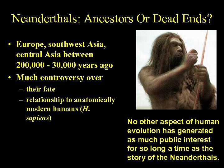 Neanderthals: Ancestors Or Dead Ends? • Europe, southwest Asia, central Asia between 200, 000