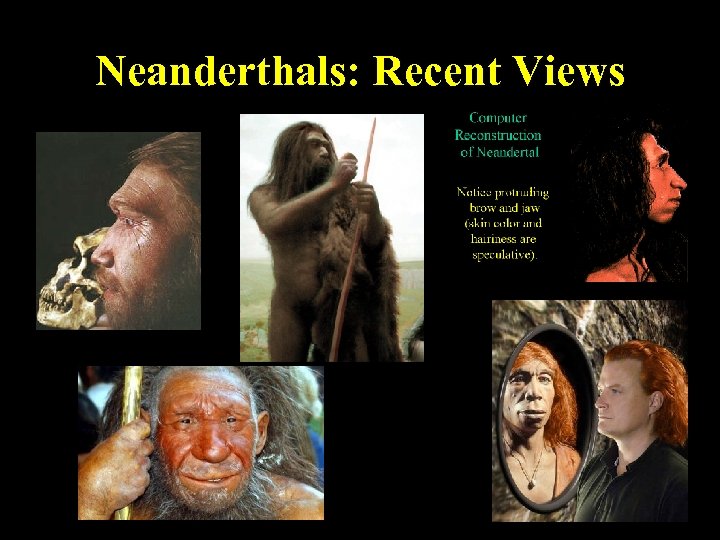 Neanderthals: Recent Views 