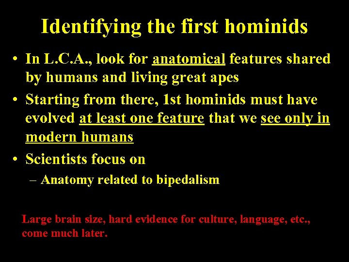 Identifying the first hominids • In L. C. A. , look for anatomical features