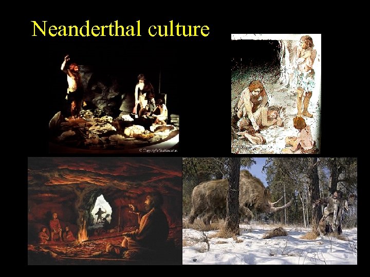 Neanderthal culture 