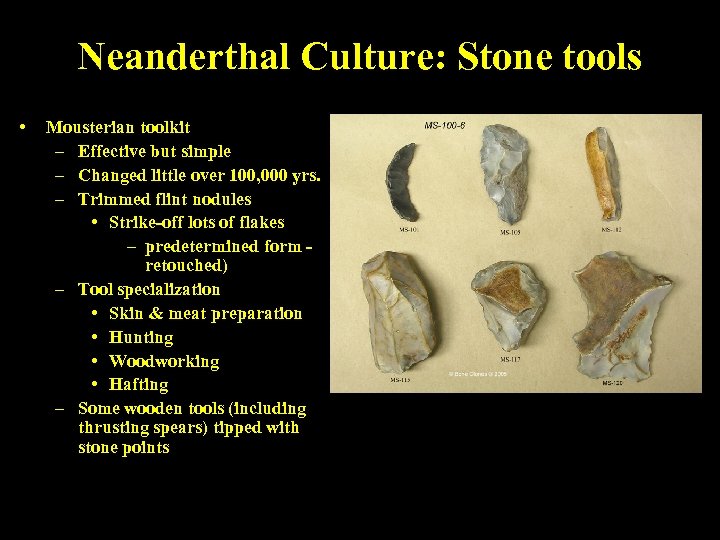 Neanderthal Culture: Stone tools • Mousterian toolkit – Effective but simple – Changed little