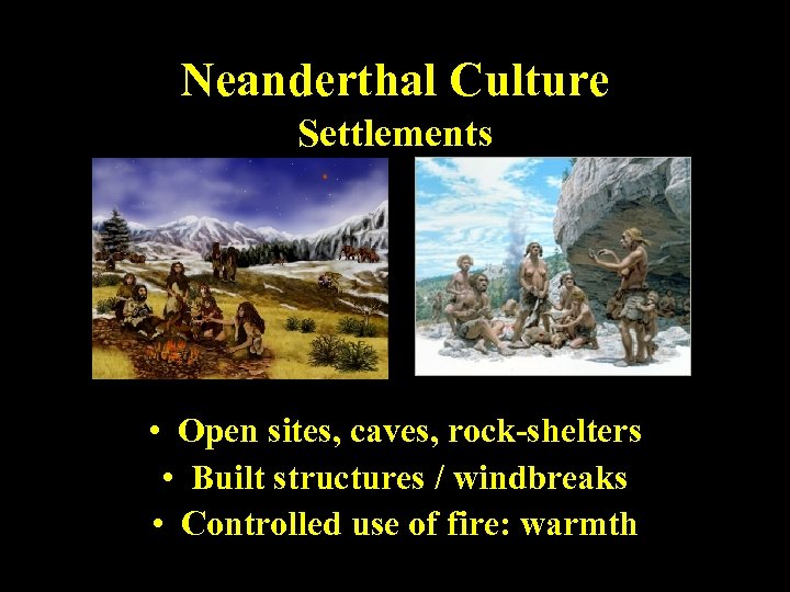 Neanderthal Culture Settlements • Open sites, caves, rock-shelters • Built structures / windbreaks •