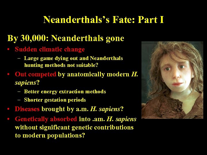 Neanderthals’s Fate: Part I By 30, 000: Neanderthals gone • Sudden climatic change –